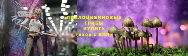 2c-b Абаза