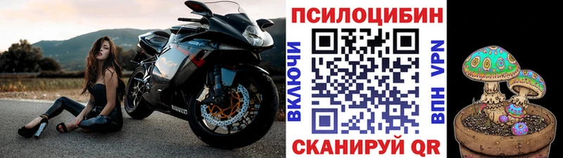 Галлюциногенные грибы Magic Shrooms  дарнет шоп  Кирсанов 